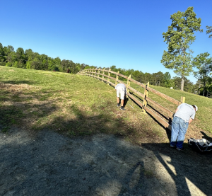 painting contractor Burlington before and after photo 1771356166047_17